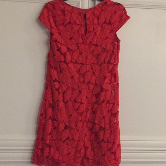 Dress - Picture 5 of 7